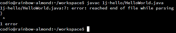 Java Missing Closing Brace