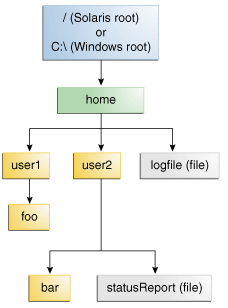 File System Tree