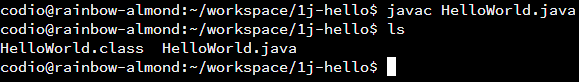 javac Command Output