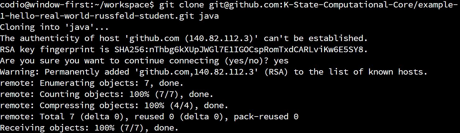 Git Clone Success