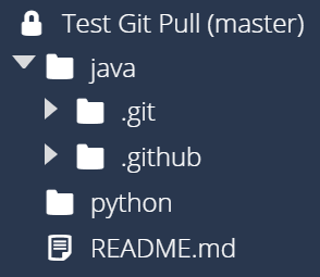 Codio File Tree After Git