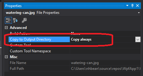 Copy to Output Directory