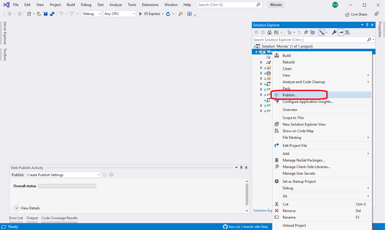 The Publish option in the Solution Explorer